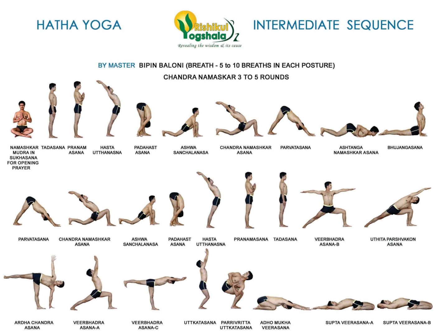 Los diferentes tipos de yoga